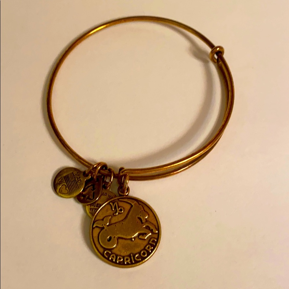 Alex and Ani Capricorn zodiac bangle bracelet